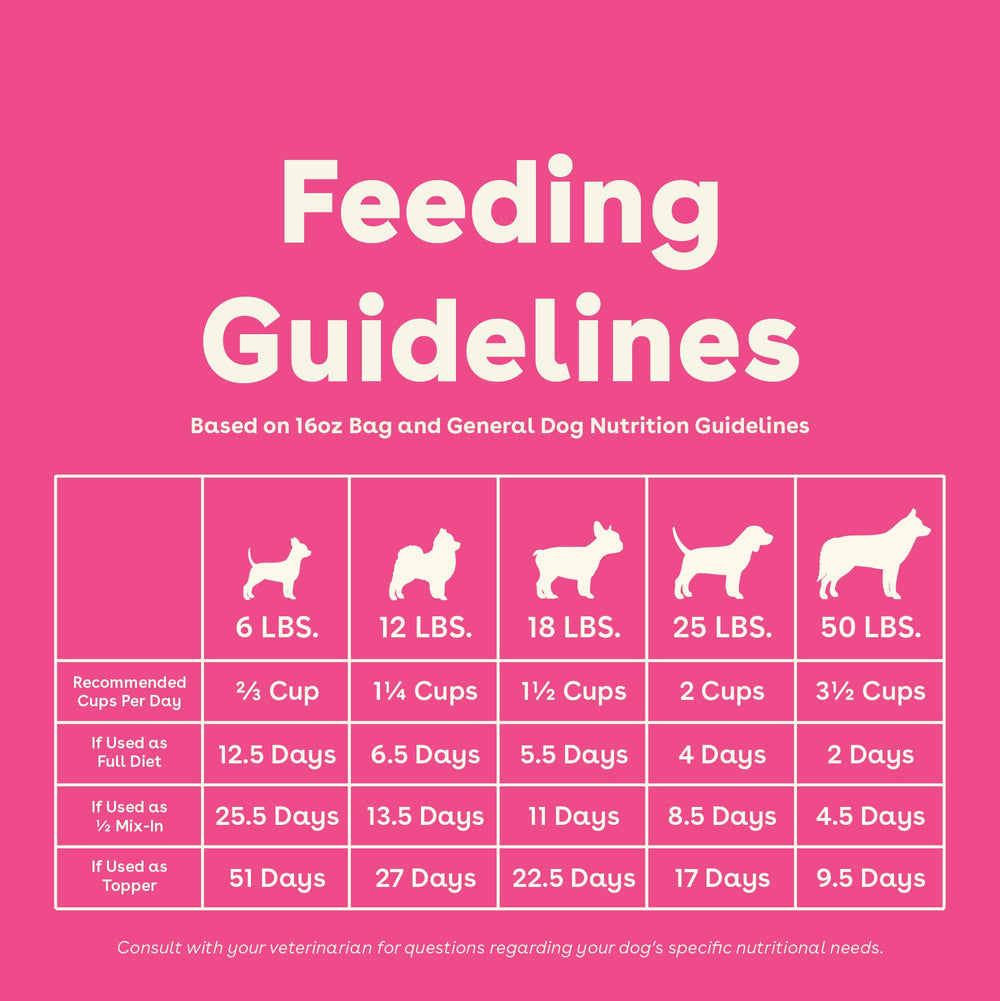 16 oz bag packaging of Pupford Good Dog Food freeze-dried raw