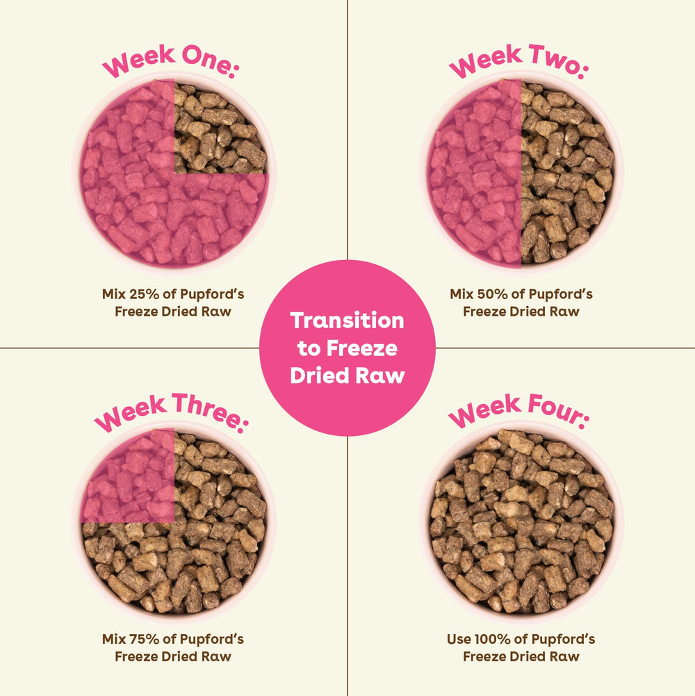 Superfood ingredients highlight in Pupford Good Dog Food packaging