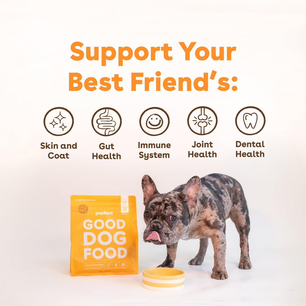 Pupford Good Dog Food high-protein boost emphasizes muscle support for active dogs