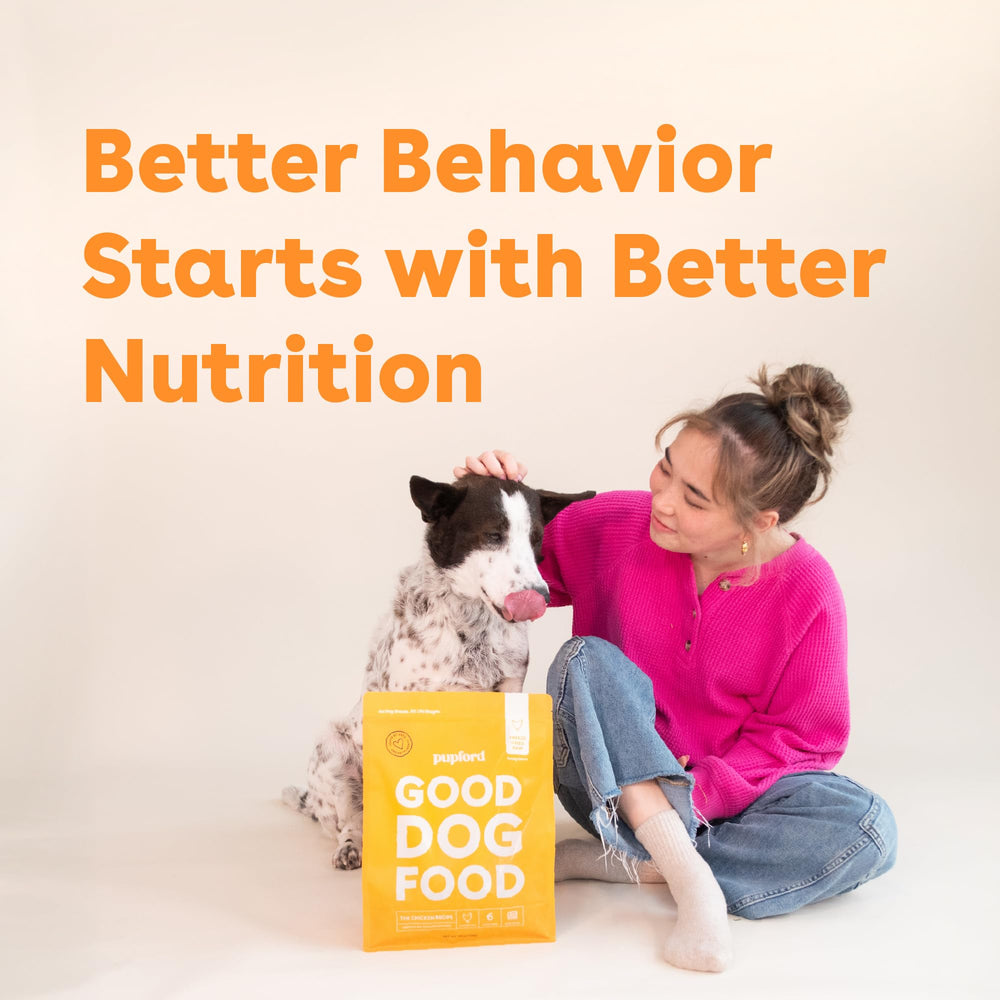 Pupford Good Dog Food ready-to-serve portion demonstrates convenient mealtime