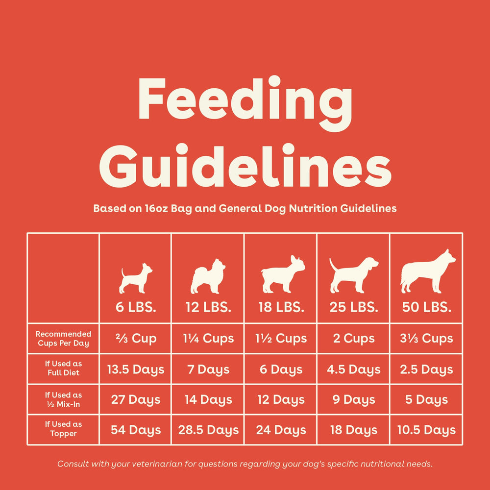 Pupford Good Dog Food dog enjoying meal demonstrates tasty, balanced nutrition.