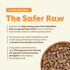 Pupford Good Dog Food superfood ingredients close-up suggests premium nutrition for energy