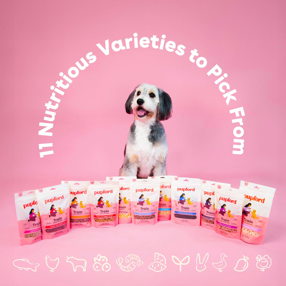 Pupford High-Value Motivating Treats—great for consistent practice.