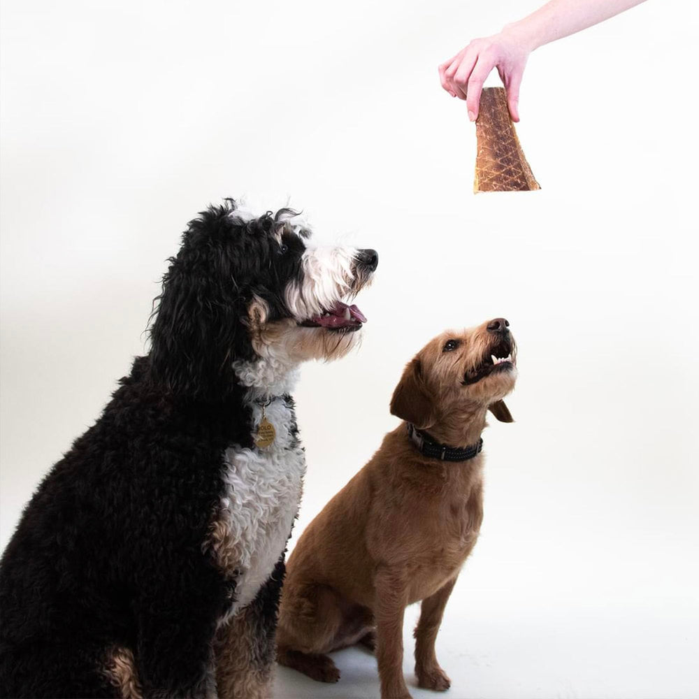 Pupford jerky high protein option supporting lean muscle and a healthy coat.
