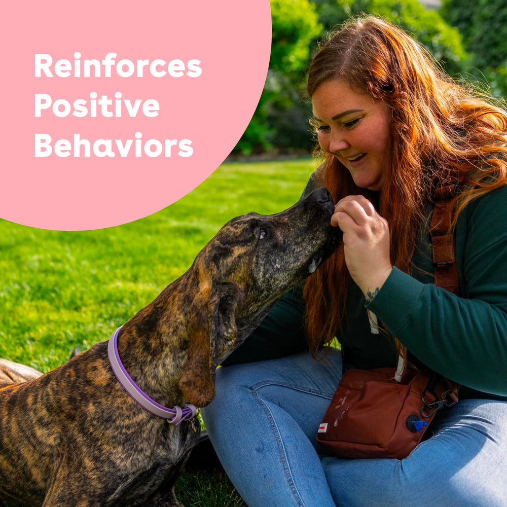 Pupford treats in hand demonstrating mess-free design for training on the go.