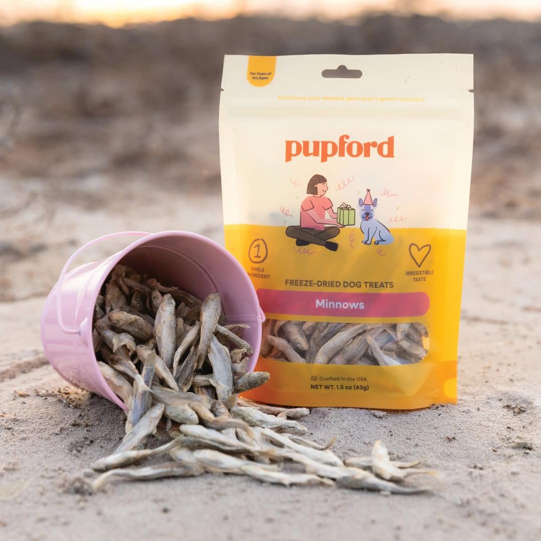 Pupford minnows training snack on a paw-friendly surface, ideal for sessions.