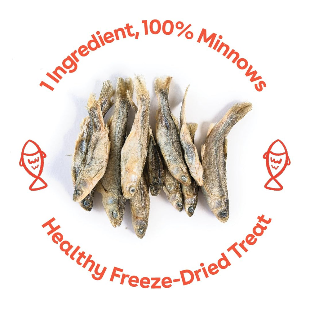 Training crumbs from Pupford Minnows indicate high-value reward moments