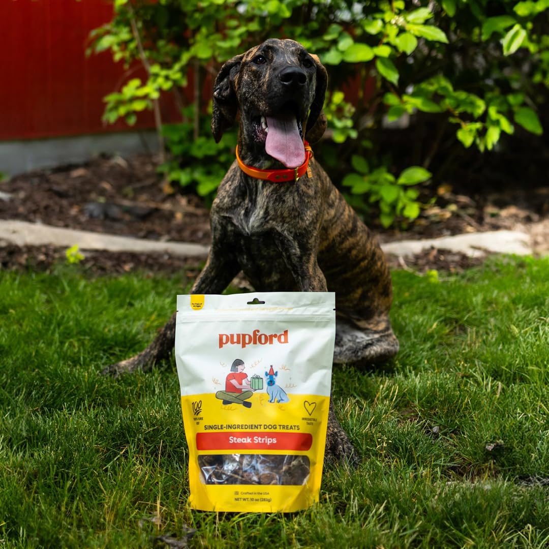 Pupford Natural ingredients label underscores no fillers, artificial colors, or preservatives.