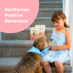Pupford no-mess freeze-dried chicken treats for clean pockets
