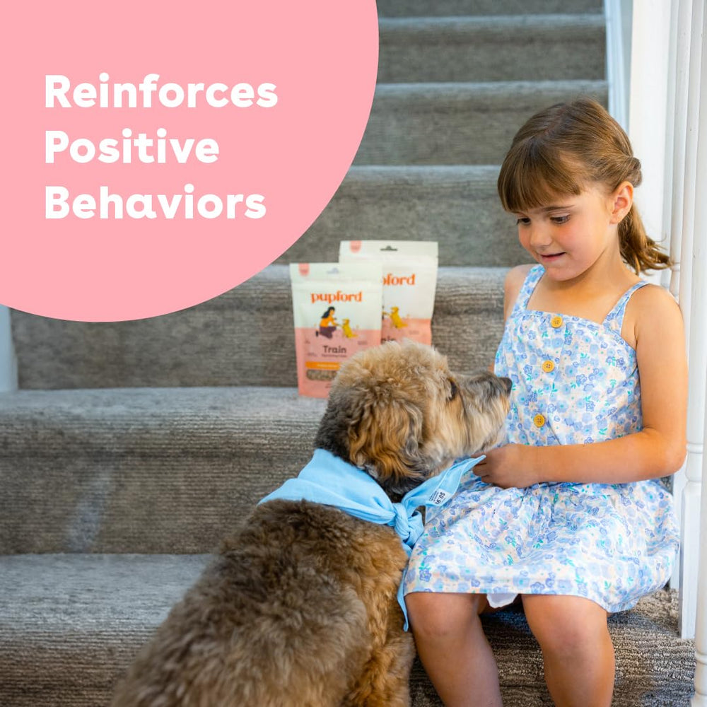 Pupford one-bite size rewards image illustrates portion control during sessions