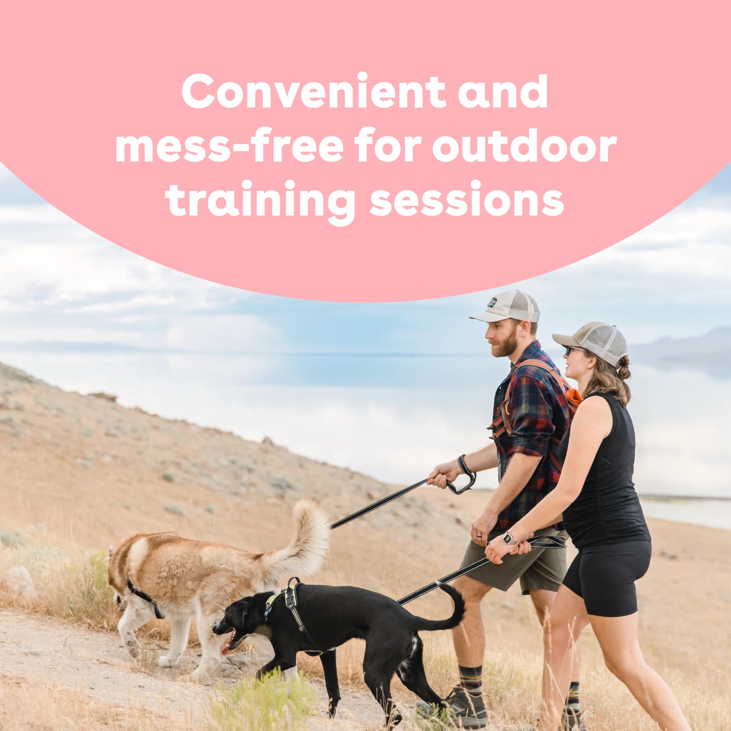 Pupford pocket-friendly training treats shown in a compact bag.