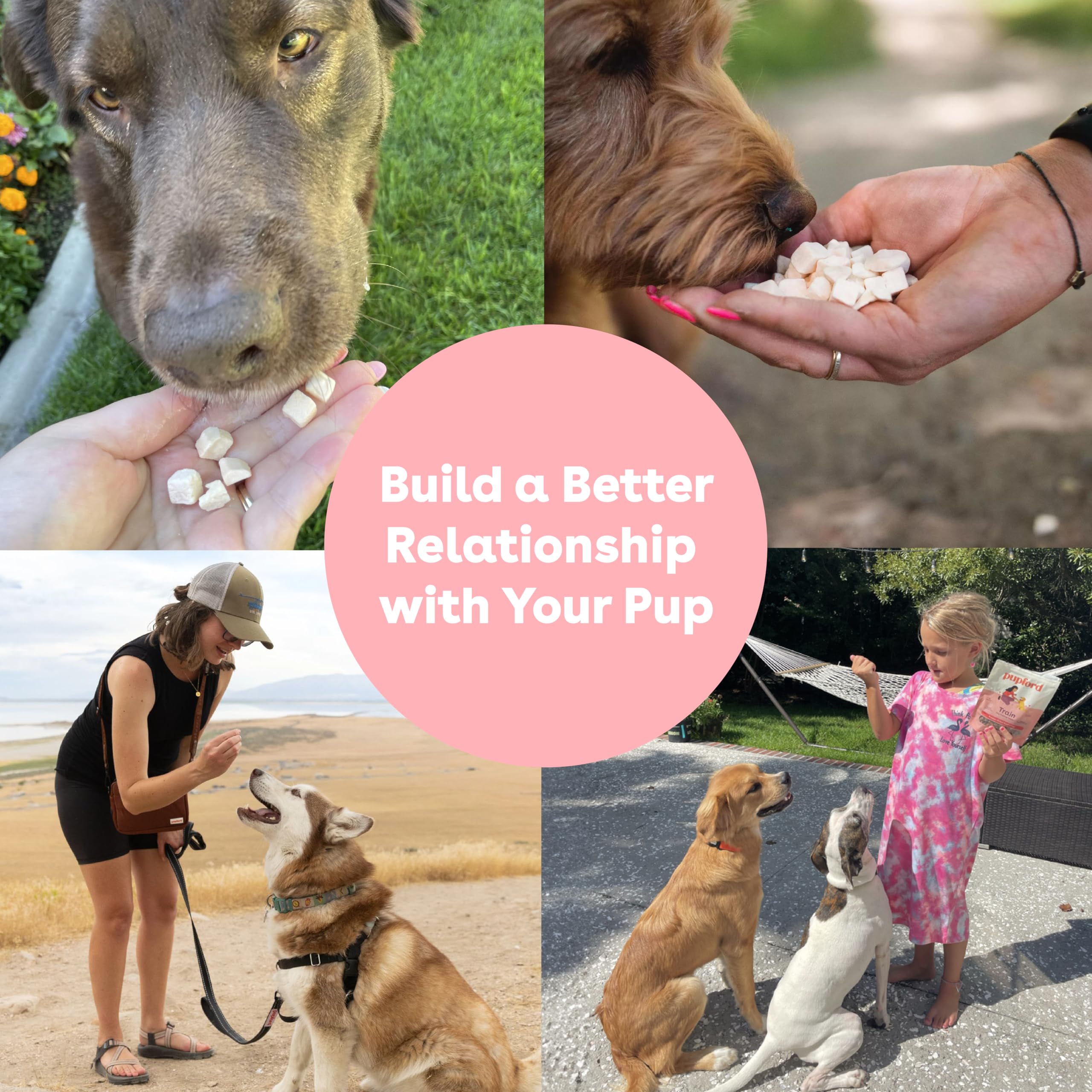 Pupford treats offer varied flavors to please picky dogs.