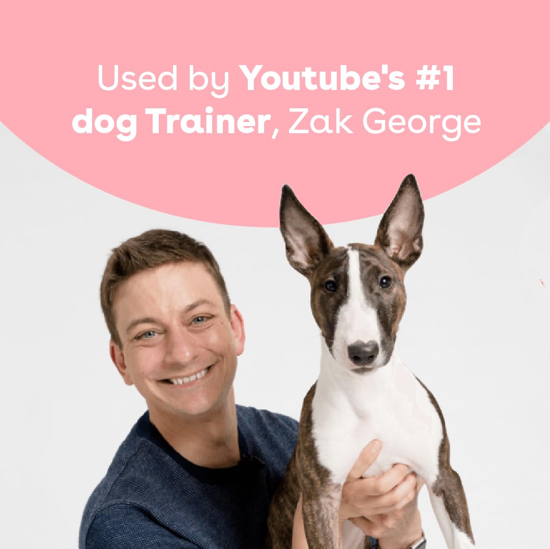 Pupford puppy-friendly rewards supporting training moments.