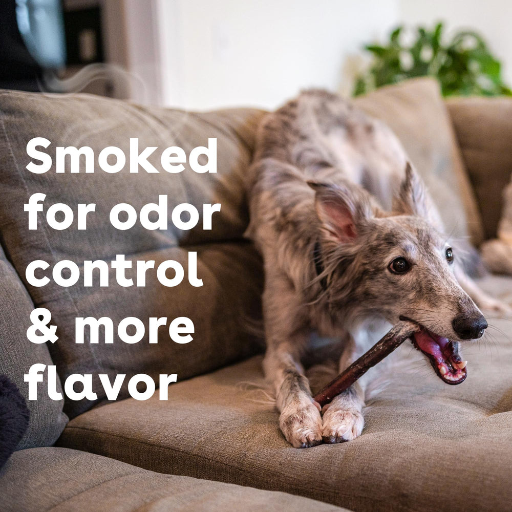 Pupford puppy-friendly chew, perfect teething relief with natural flavor.