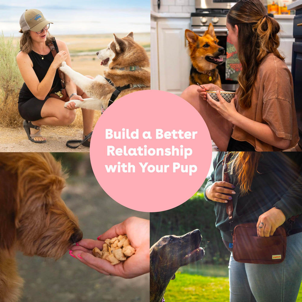 Pupford six-ingredient formula with simple nutrition.