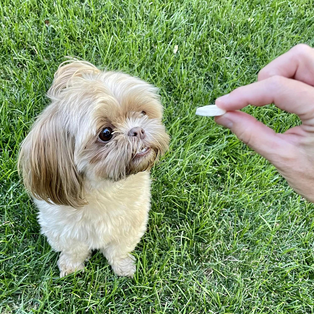 Pupford single-ingredient banana chip highlights natural simplicity.