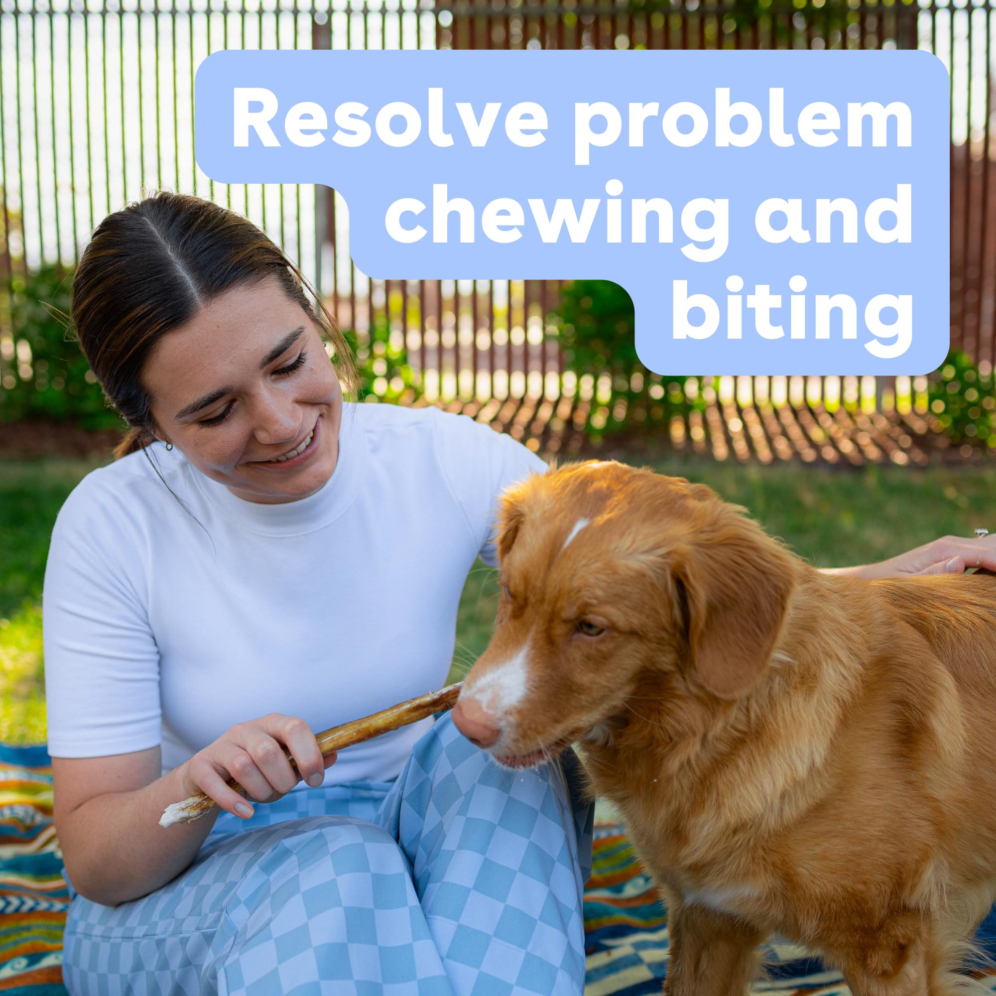 Pupford single-ingredient chew for dogs, natural and simple.