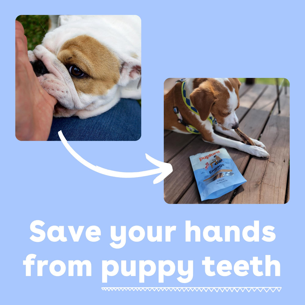Pupford Smoked odor control bully sticks offer odor-reduced chewing for dogs.