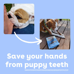 Pupford smoked bully sticks close-up, odor-reducing treat for calmer chewing.