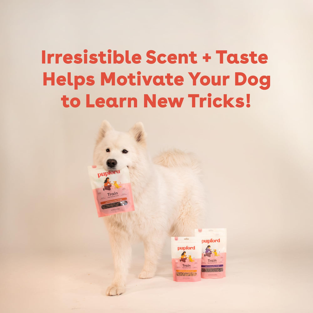 Pupford Beef Treats one-bite size, perfect for precise training rewards.