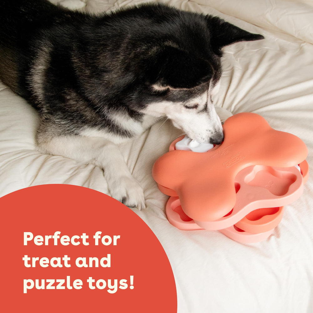 Pupford treats for puppies and dogs help maintain focus without overfeeding.