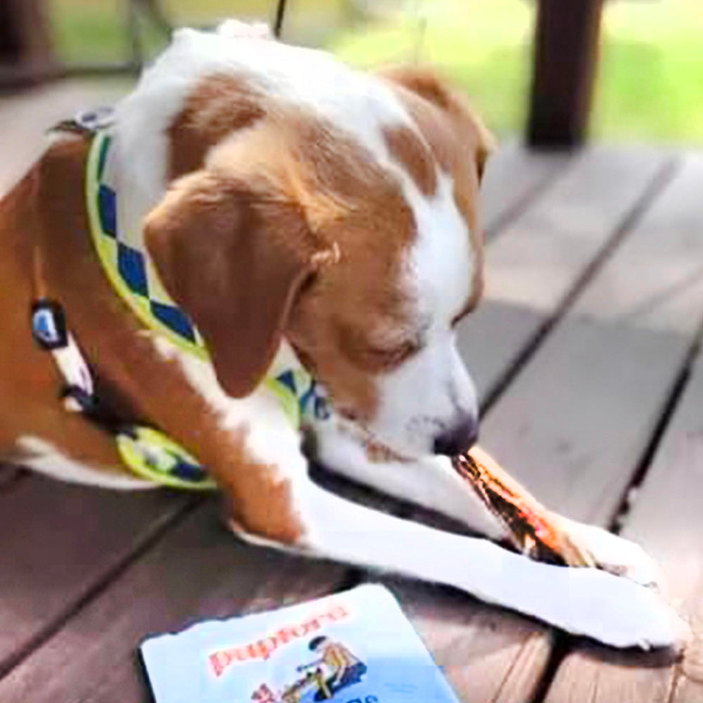 Pupford thick beef tendon chews with glucosamine label for joint-friendly chewing