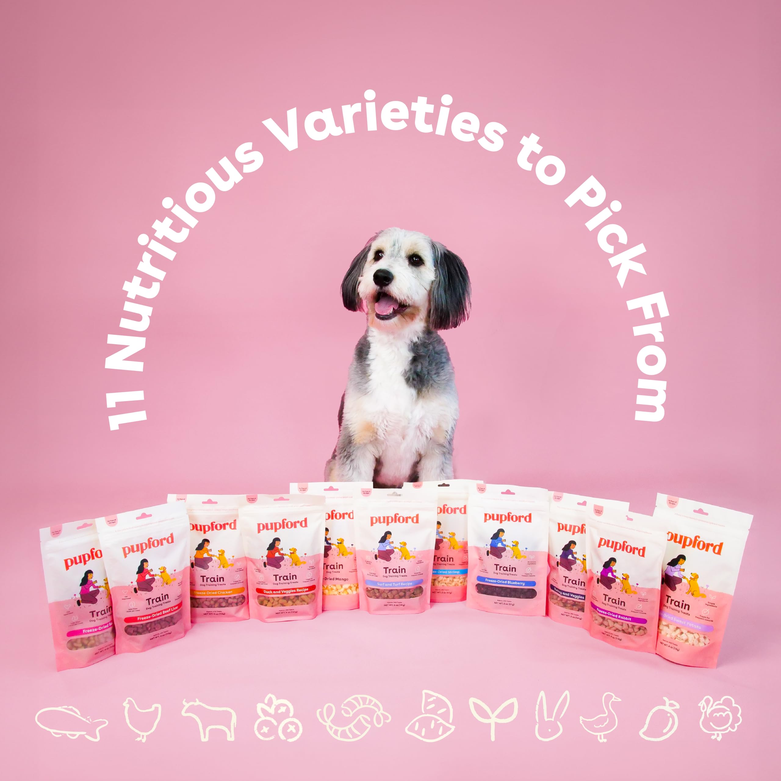 Pupford training essentials for pups support consistent reinforcement during practice.