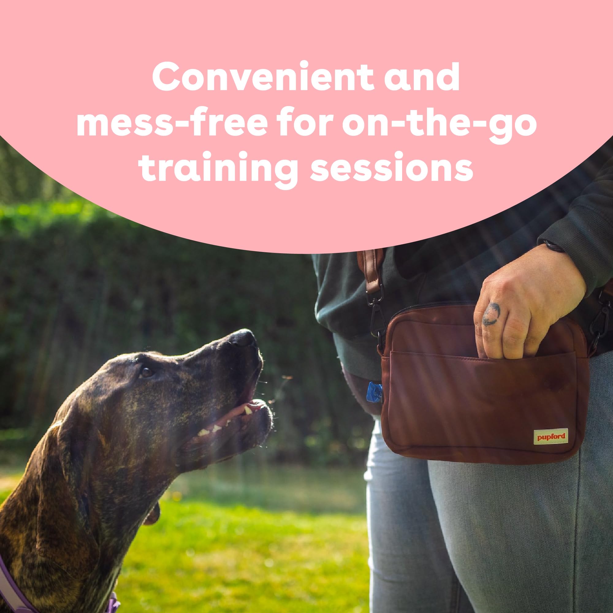 Pupford training session with salmon treats for positive reinforcement.