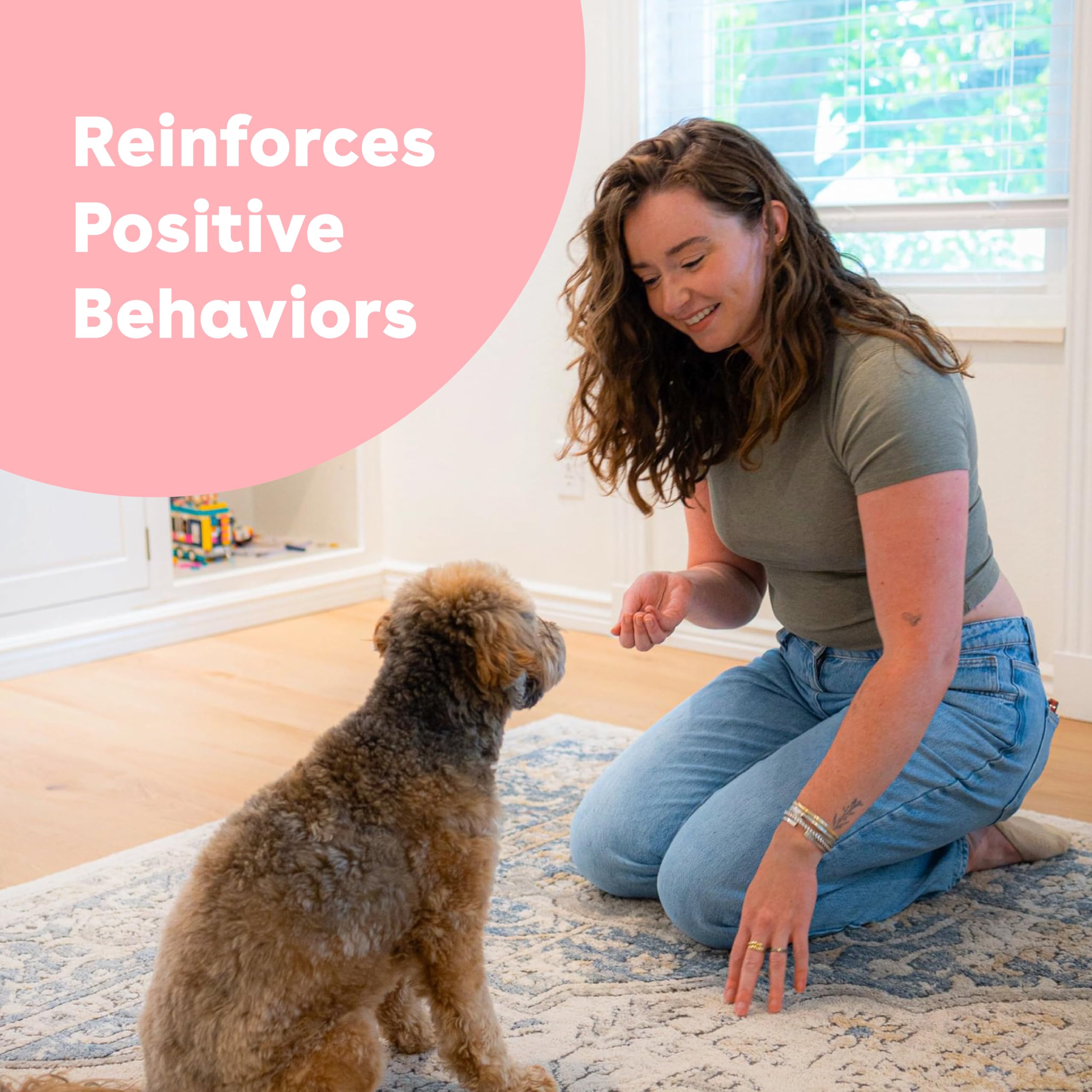 Pupford pocket-size training treats for walking sessions