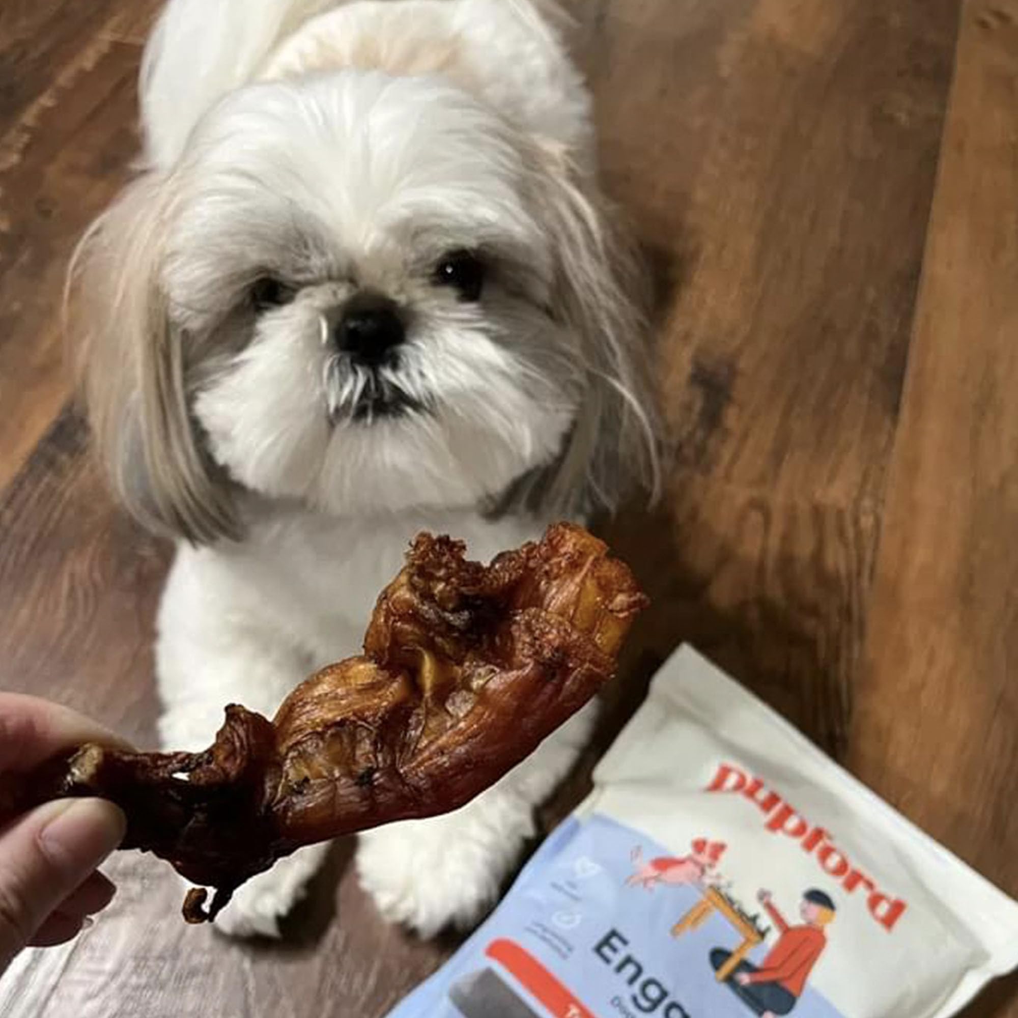 Pupford Turbo Beef Tendon Chews adult dog chewing scene conveys satisfaction