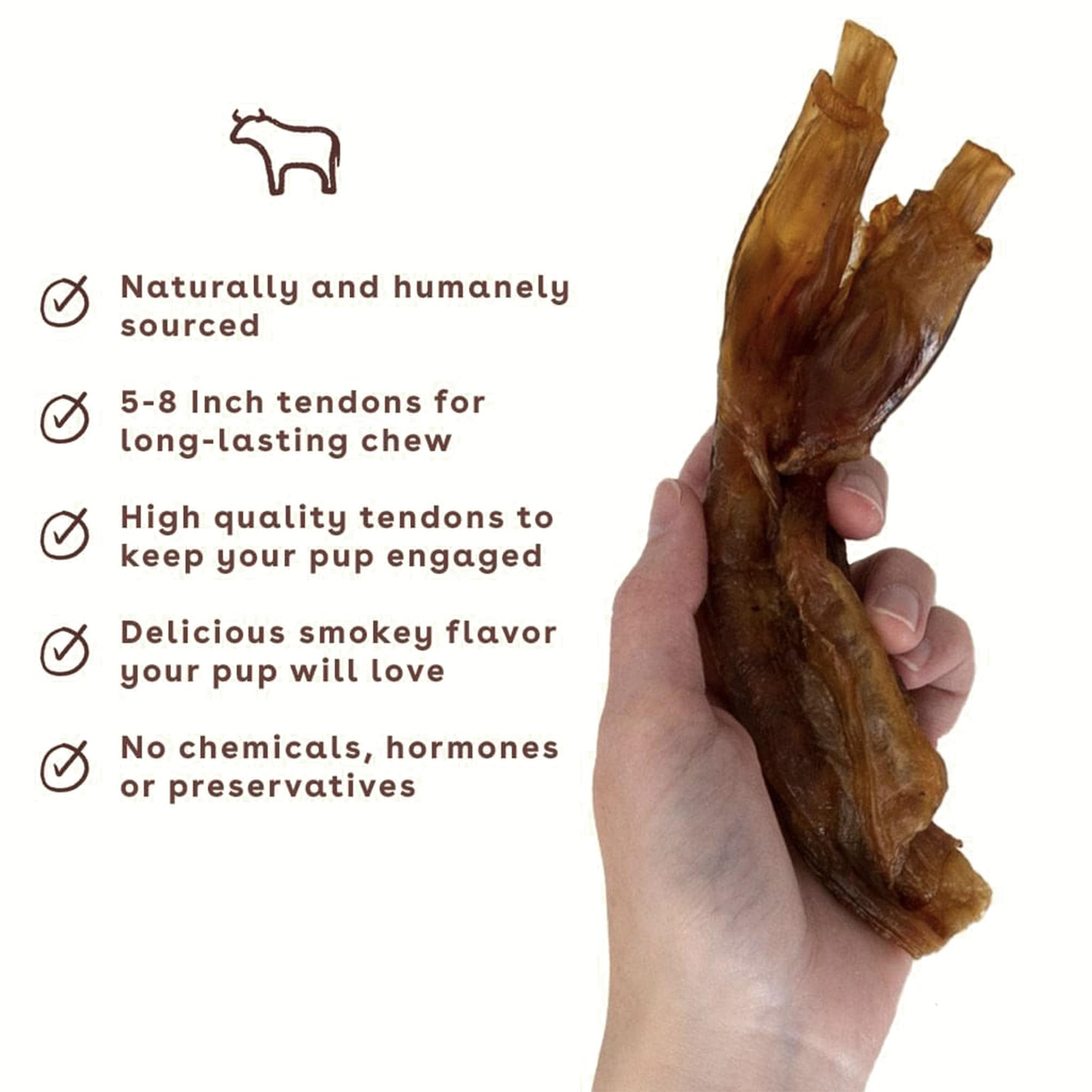 Pupford Turbo Beef Tendon Chews dog chewing action demonstrates engagement