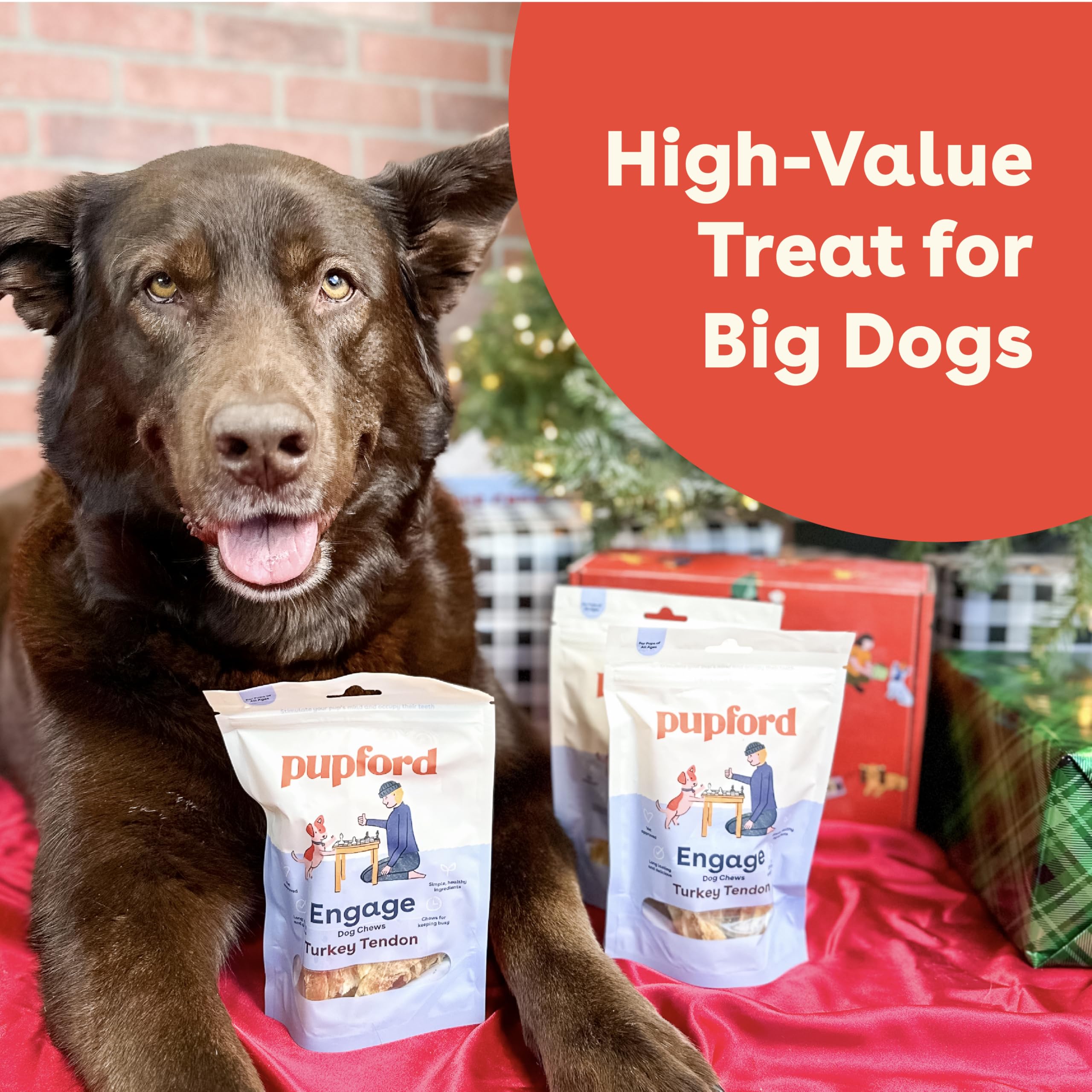 Pupford Turkey Tendon Dog Treats single-ingredient protein highlight.