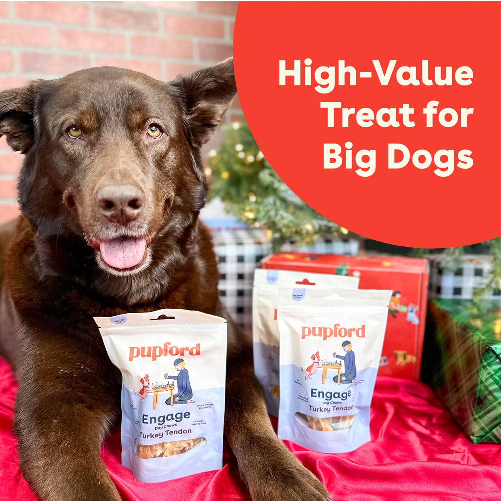 Pupford Turkey Tendon Dog Treats single-ingredient protein highlight.