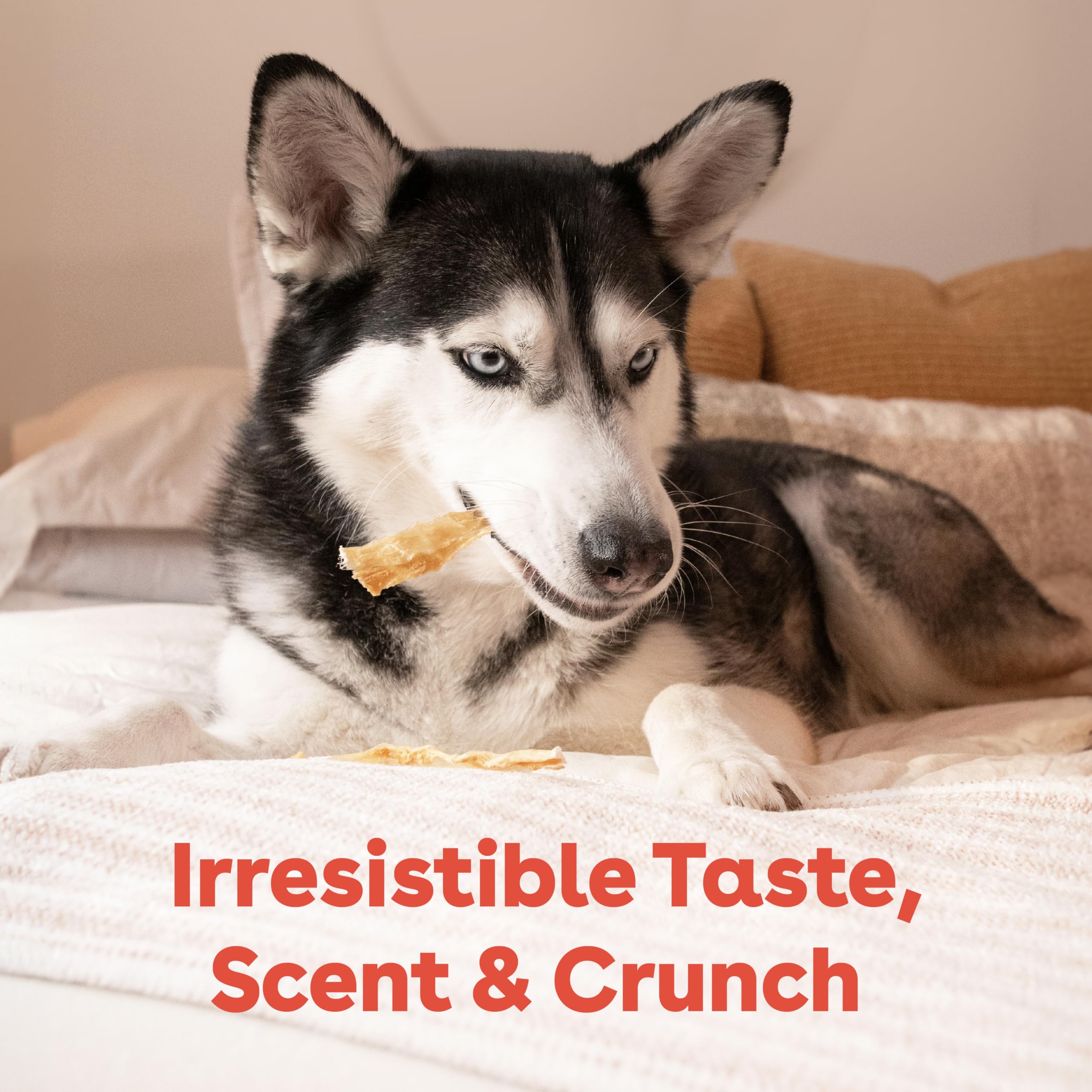 Pupford Turkey Tendon Dog Treats USA-made badge signals trusted production.
