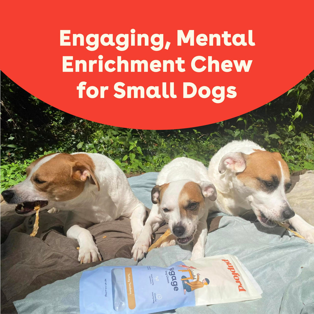 Pupford Turkey Tendon Dog Treats training-use sample demonstrates motivation during sessions.