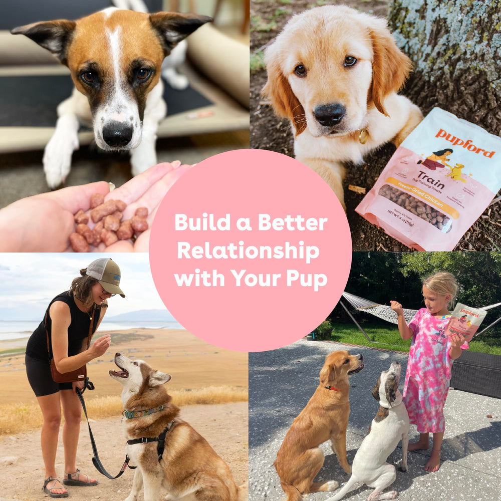 Pupford two-ingredient chicken treats; simple rewards during training