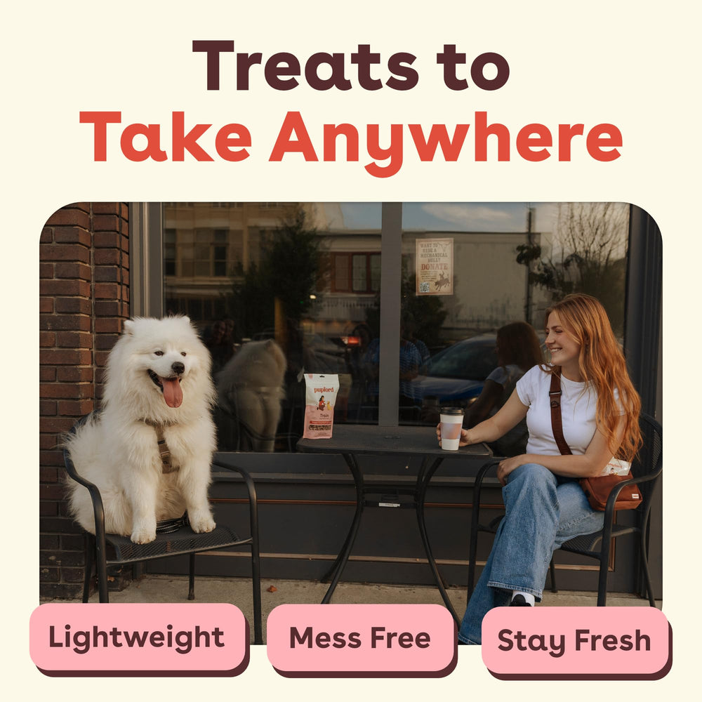 Variety of Pupford flavors to suit different dog preferences.