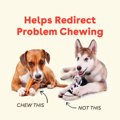 Pupford Yak Cheese Chews 3-pack display highlighting natural ingredients
