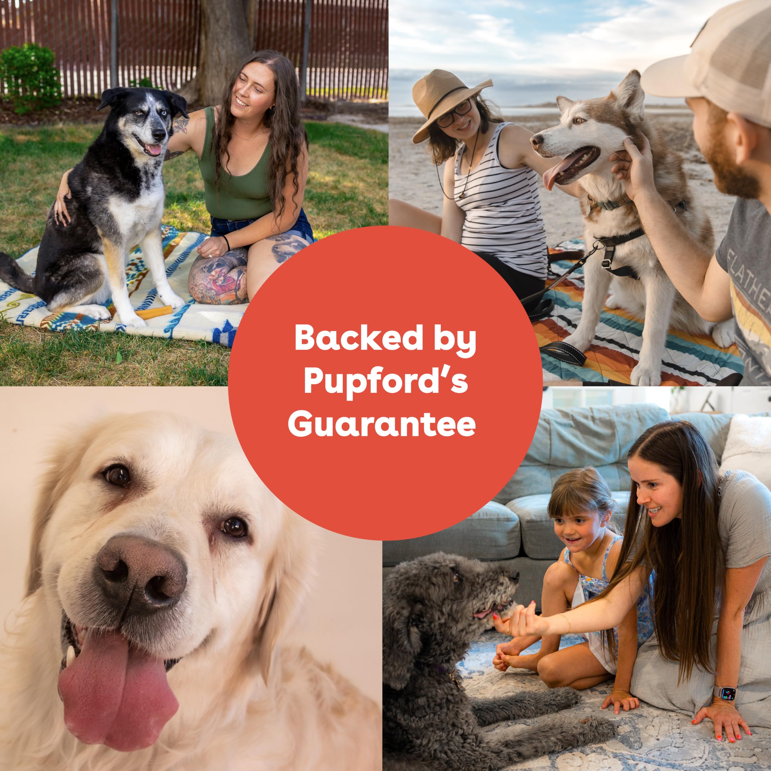 Pupford Yak Cheese Chews calming moment during training session
