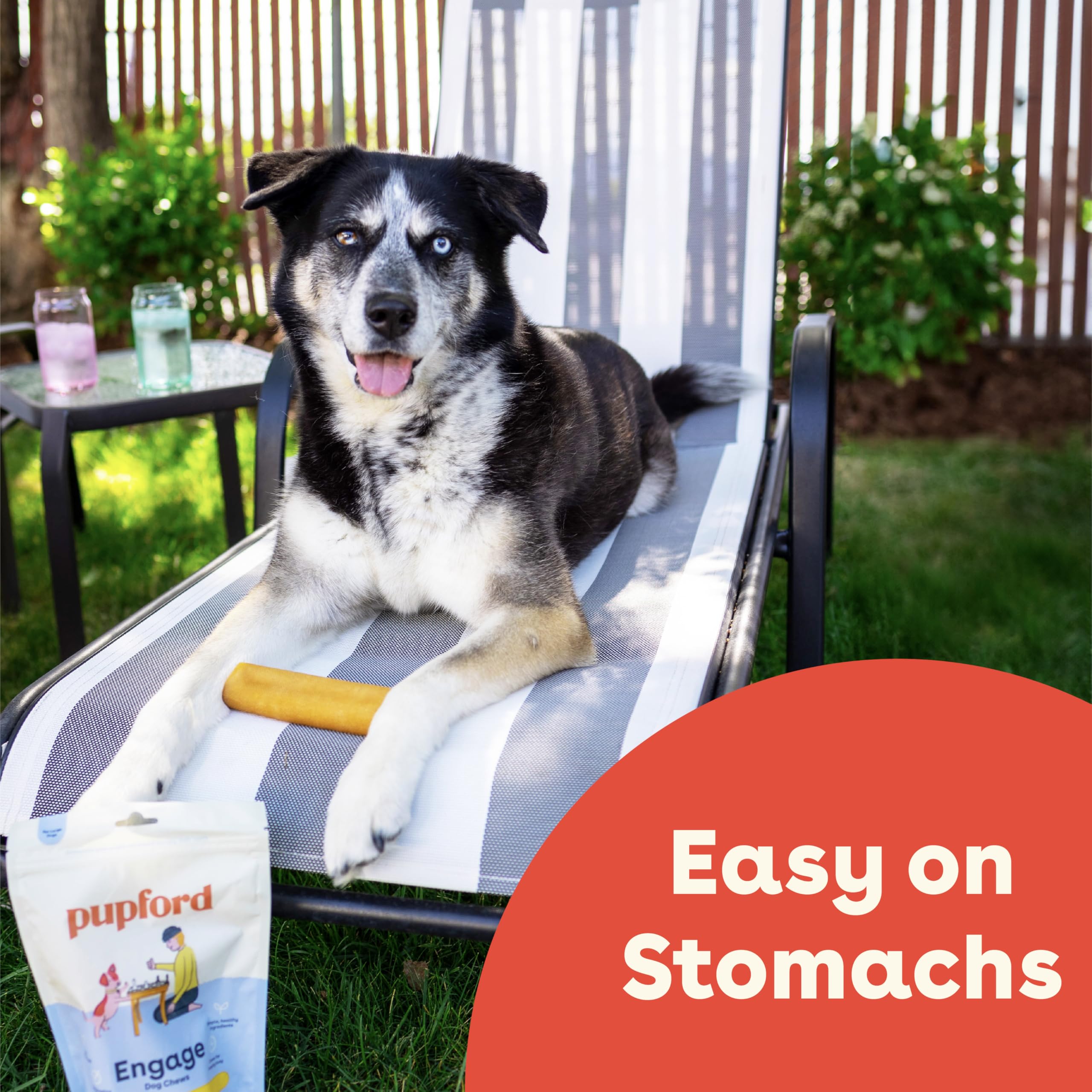 Pupford Yak Chews 3-pack jumbo pack highlights value.