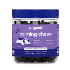 PupGrade Calming Soft Chews bottle shows convenient daily stress support.
