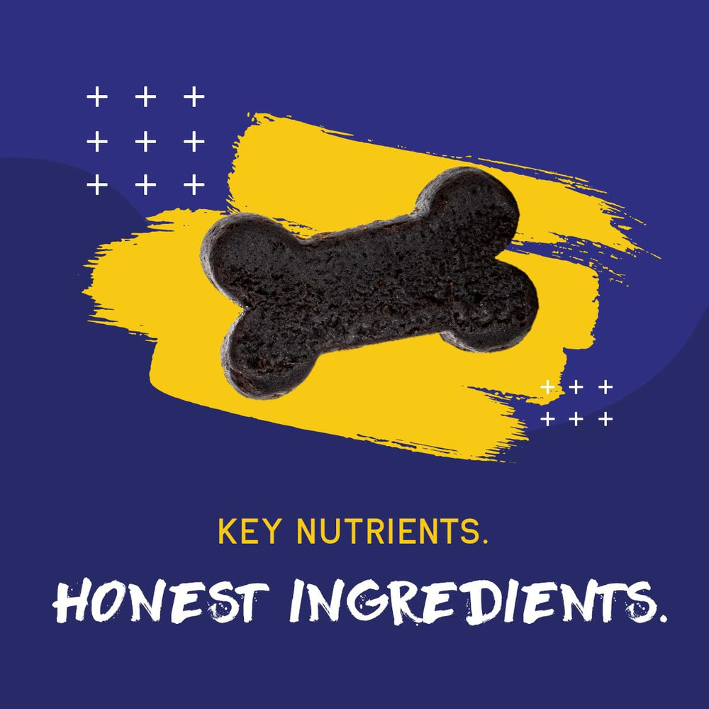 PupGrade multivitamin for all life stages used with a dog.