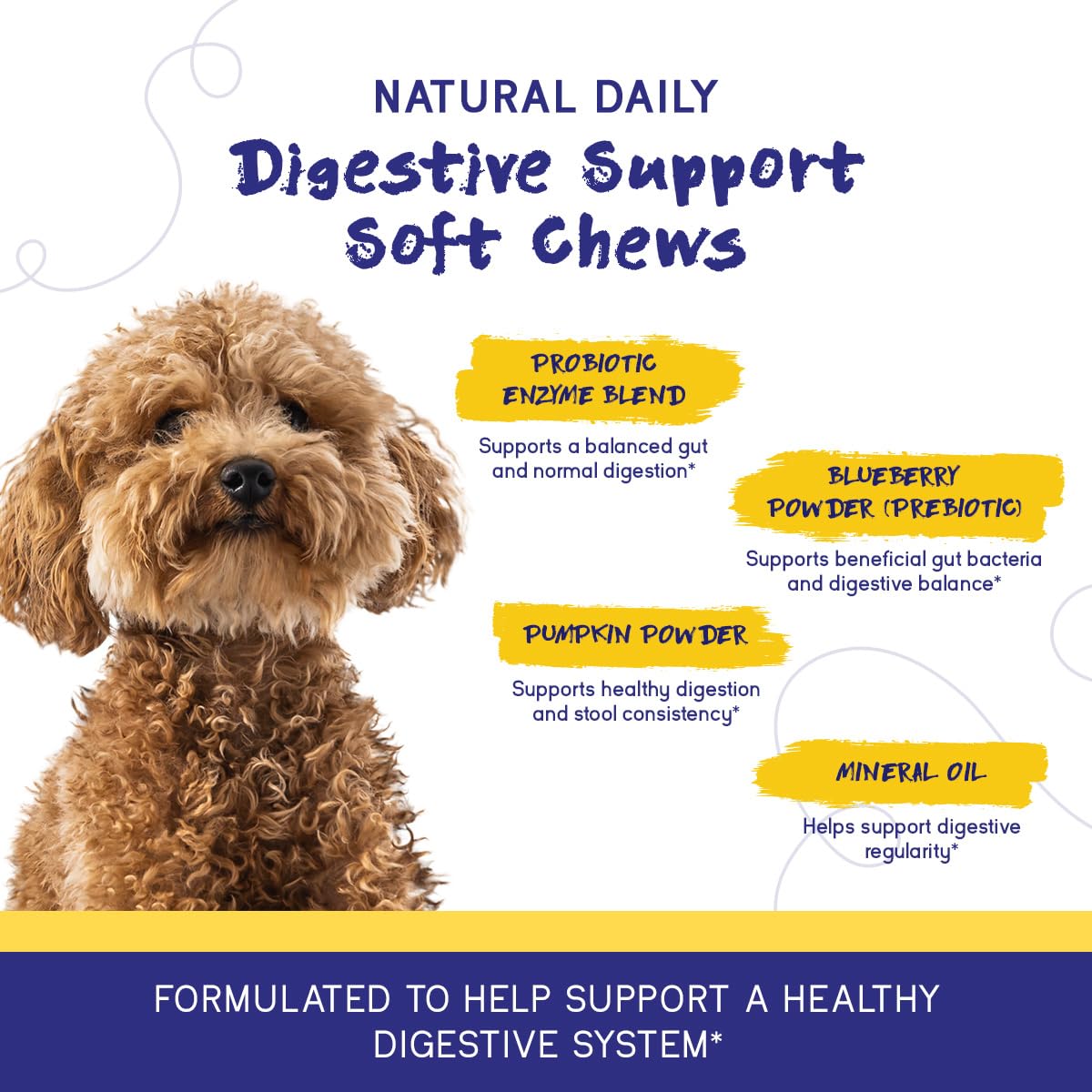 Dog enjoying PupGrade Digestive Support during daily routine.