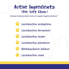PupGrade chews with pumpkin and blueberry ingredients on display.