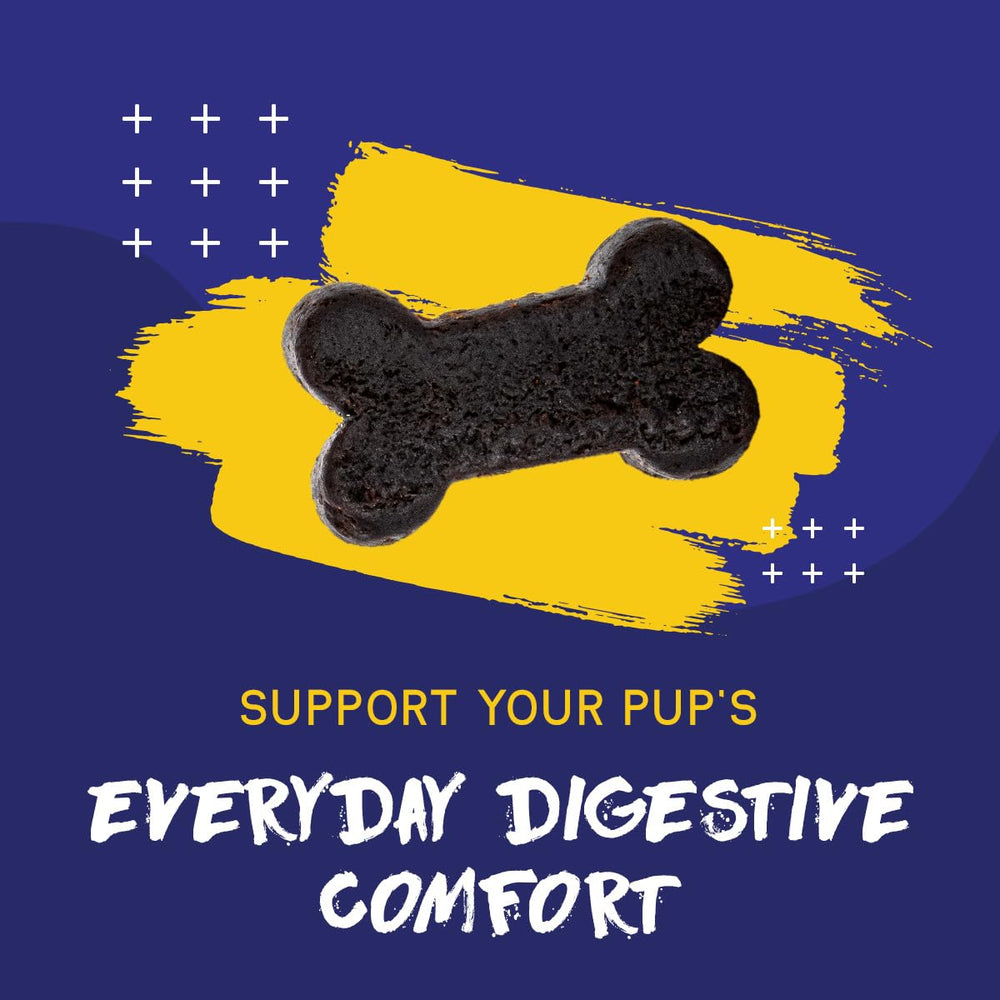 PupGrade grain-free soft chews label emphasizing quality.