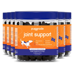 PupGrade joint-support soft chews bottle, 360-count, for daily canine mobility.