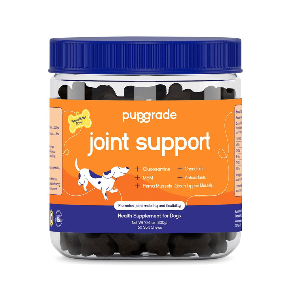 PupGrade Joint Support soft chews beef bottle showcases daily joint care