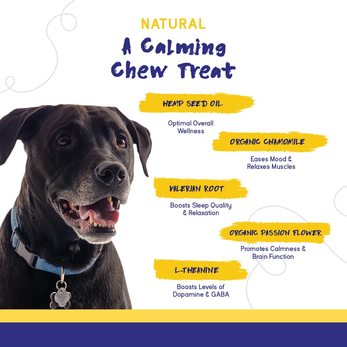PupGrade turkey-flavored chews pack highlighting tasty anxiety relief options.