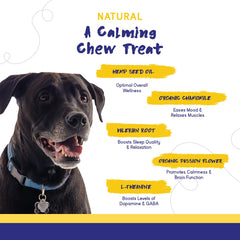 PupGrade turkey-flavored chews pack highlighting tasty anxiety relief options.