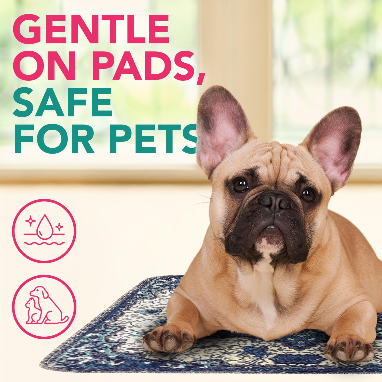 PUPIBOO Wee Out Wash neutralizes odors for lasting freshness.